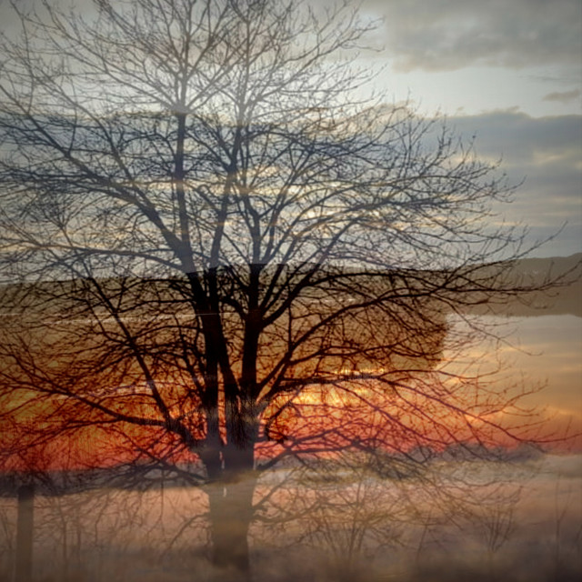 "Mysterious landscape" stock image