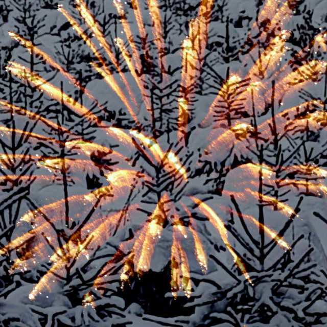 "'Winter(fire)works'!" by Rudolf Reinbacher - $14.47 "'Winter(fire)works'!" stock image