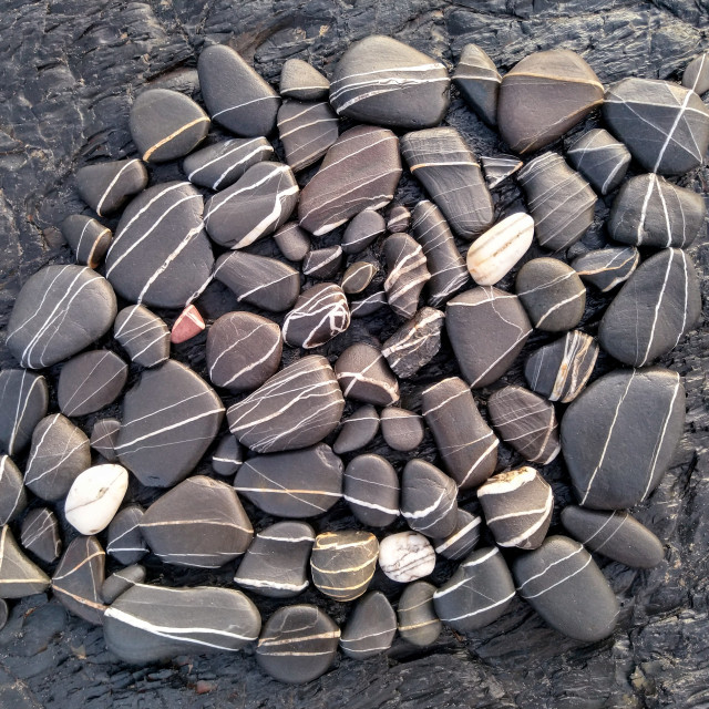 "Stone life" by Lucia Pec - $12.36 "Stone life" stock image