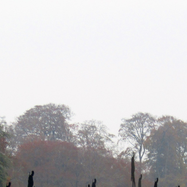 "Soldier figures at Remembrance Day in Blenheim" stock image