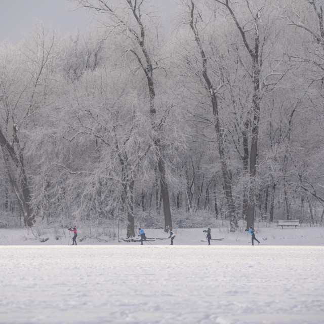"line of people cross country skiing along the side of a lake wit" by Justin Mueller - £10.00 "line of people cross country skiing along the side of a lake wit" stock image