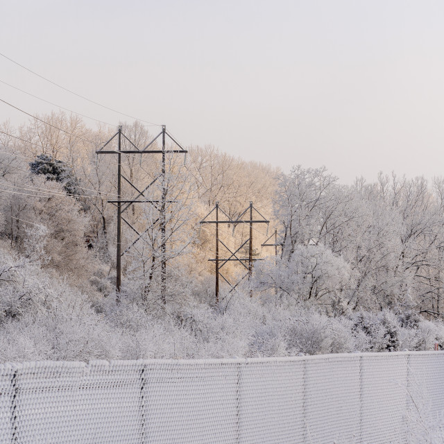 "snow covered forest with high lines and the sun shining through" by Justin Mueller - £10.00 "snow covered forest with high lines and the sun shining through" stock image