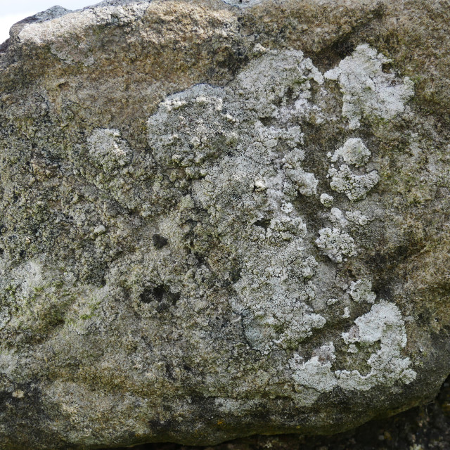 "Inscribed stone Hadrian’s Wall" stock image