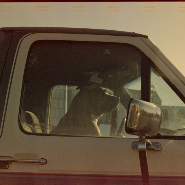 "In the Front Seat" by Zachary I Peabody - £10.00 "In the Front Seat" stock image