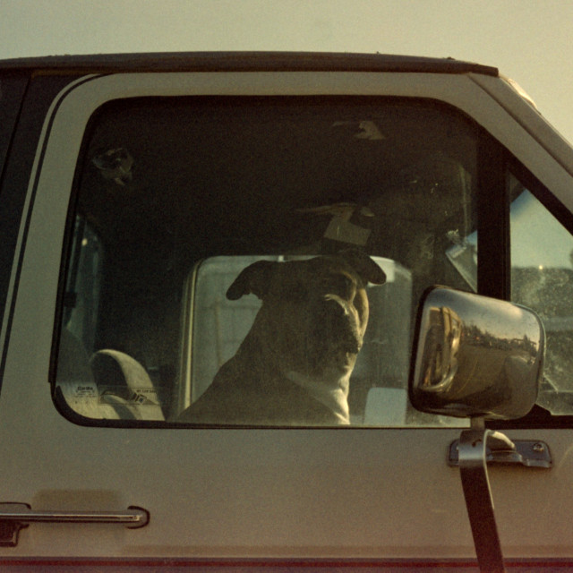 "In the Front Seat" by Zachary I Peabody - £10.00 "In the Front Seat" stock image