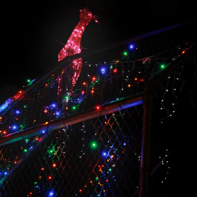 "Festive Batter's Cage" by Zachary I Peabody - £10.00 "Festive Batter's Cage" stock image