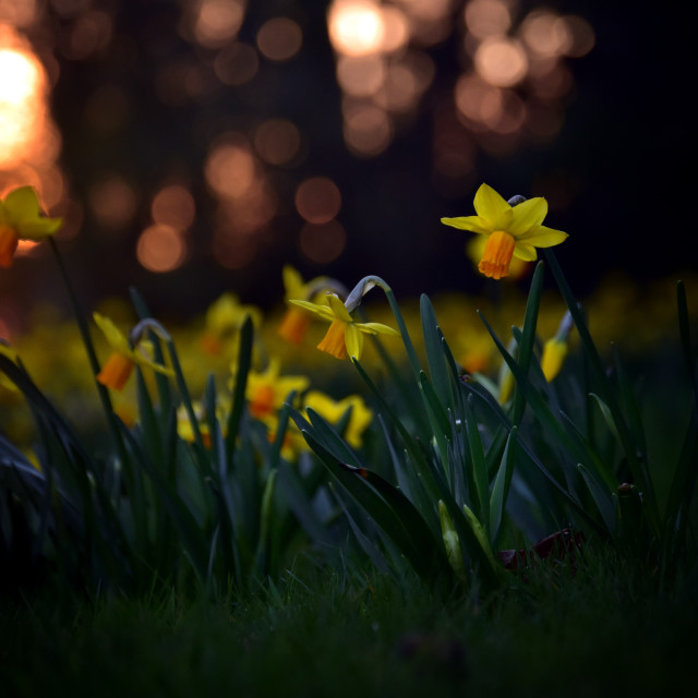 "Last March" stock image