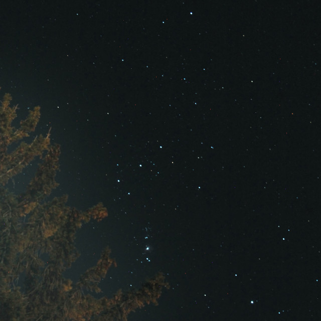 "Glowing Tree with Stars" by Zachary I Peabody - £10.00 "Glowing Tree with Stars" stock image