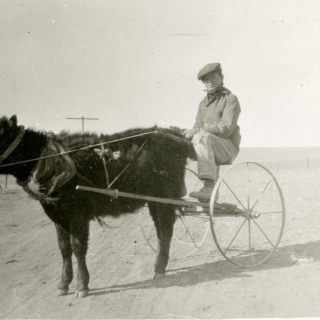 "Boy on an old wagon" by Zachary I Peabody - £10.00 "Boy on an old wagon" stock image