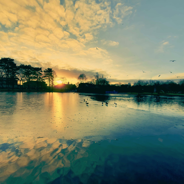 "Sunset in Victoria Park Glasgow" stock image