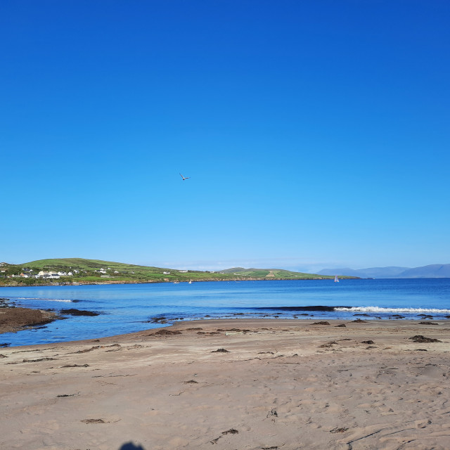 Ventry Bay Beach License, download or print for £2.48 Photos Picfair