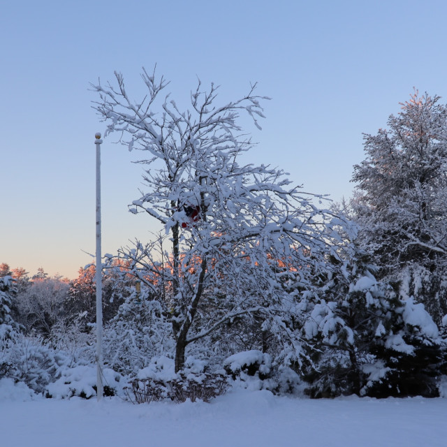 "Peekaboo sunrise" stock image