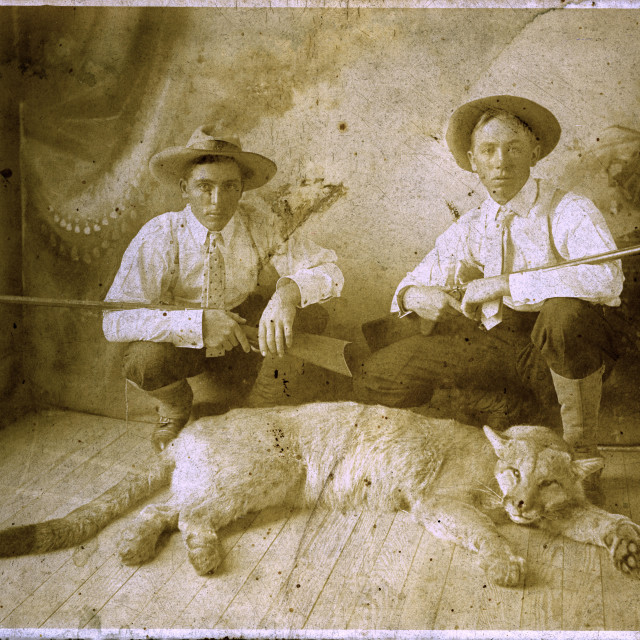 "Very old shot of two hunters and a Cougar Carcass" by Zachary I Peabody - £10.00 "Very old shot of two hunters and a Cougar Carcass" stock image