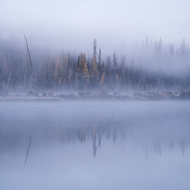 "Mystical Morning on the Lake" stock image