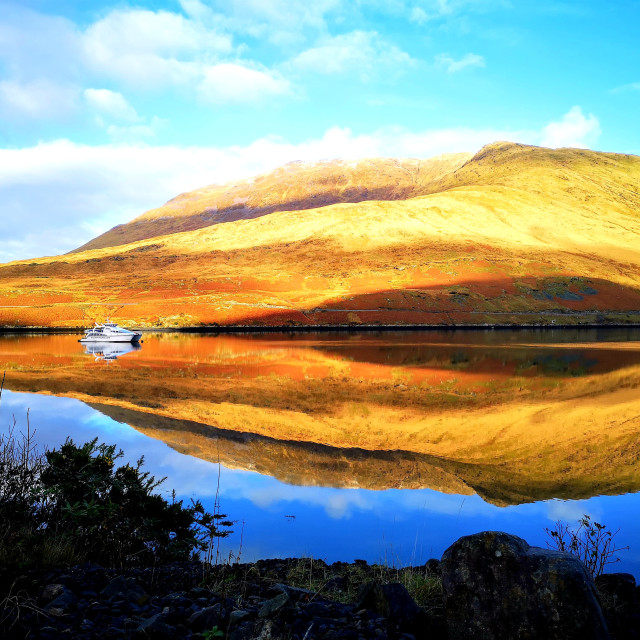 "Reflection!!" stock image