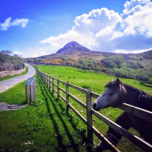 "Diamond Hill!!" stock image