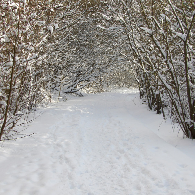 "The Old Railway Line" stock image
