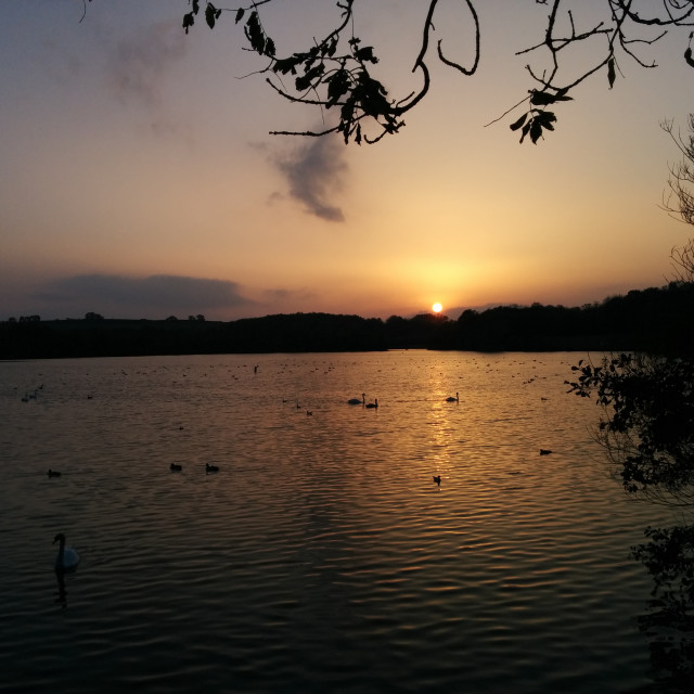 "Cosmeston Lakes" stock image