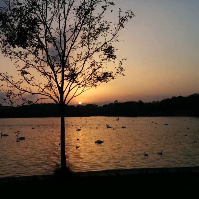 "Cosmeston Lakes" stock image