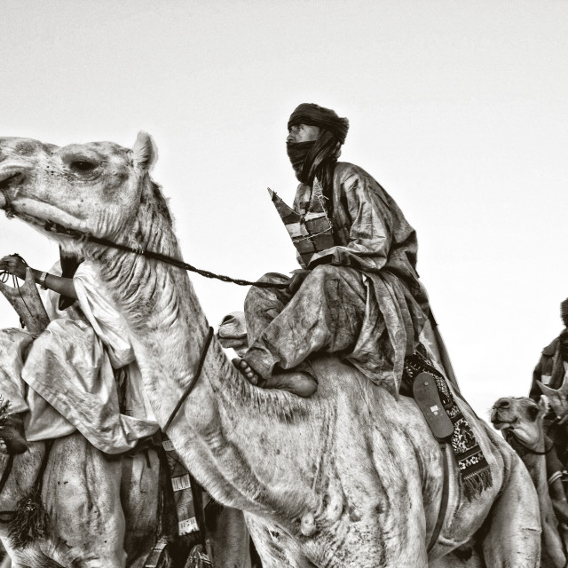 "Touaregs and camels at dusk; sahara Desert" stock image