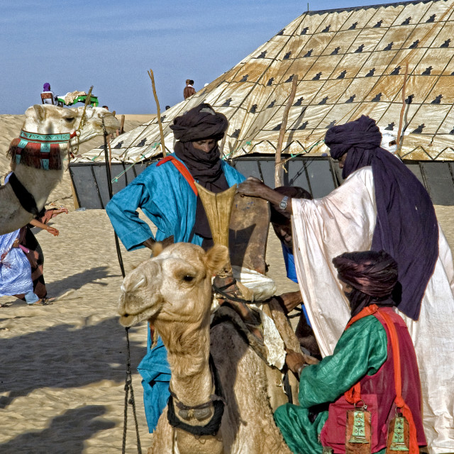 "Touareg men and camels; 'Festival au Désert'; Timbuktu, Mali" stock image