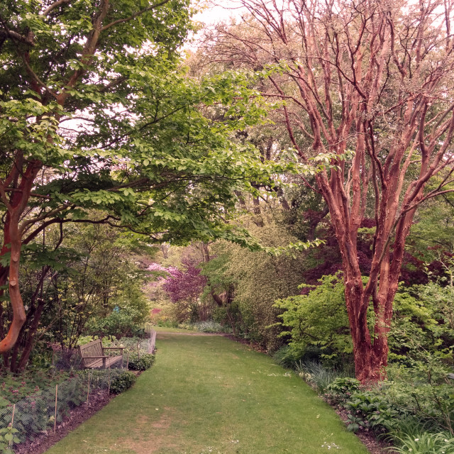 "Bodnant Garden" stock image