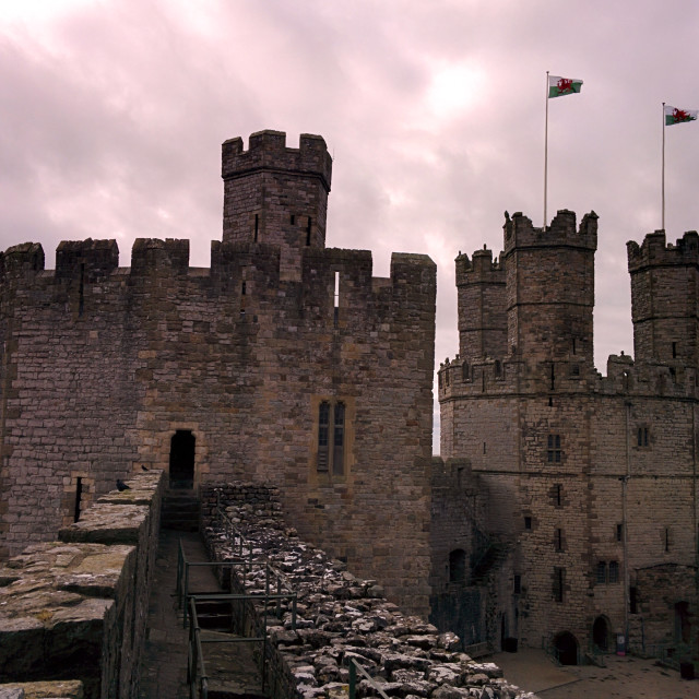 "Caernarfon Castle" stock image