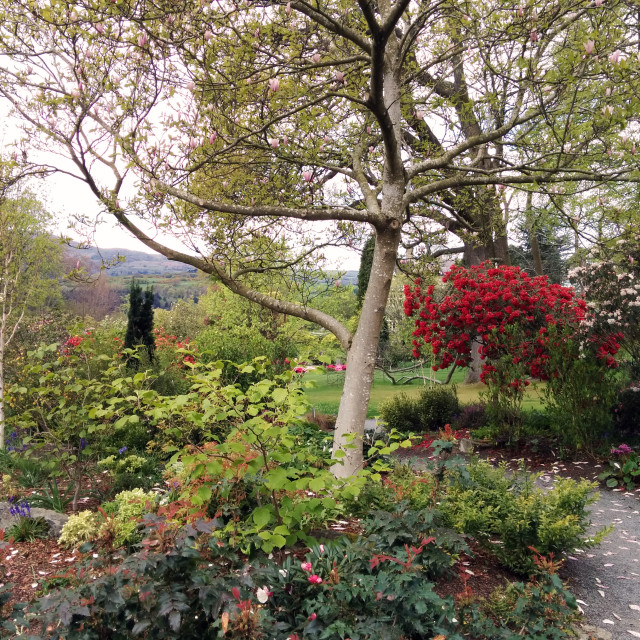 "Bodnant Garden" stock image