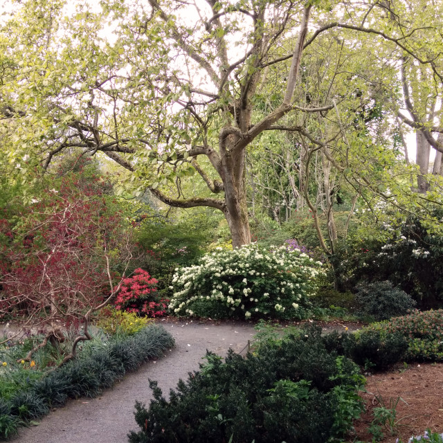 "Bodnant Garden" stock image