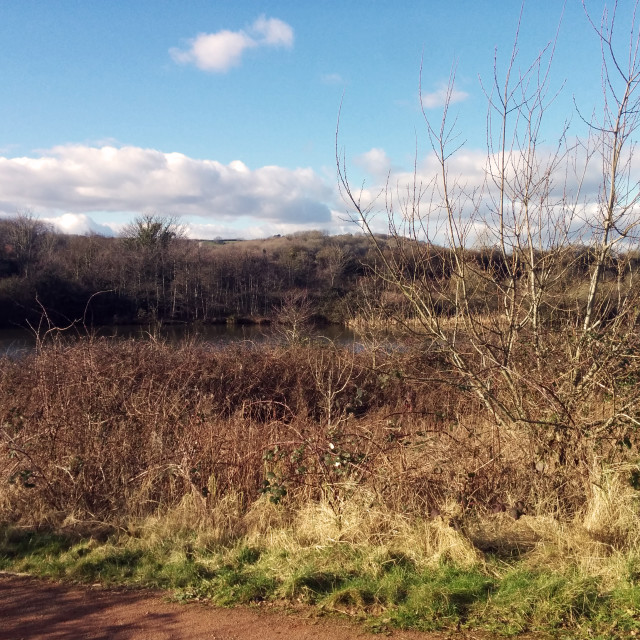 "Grangemoor Park" stock image