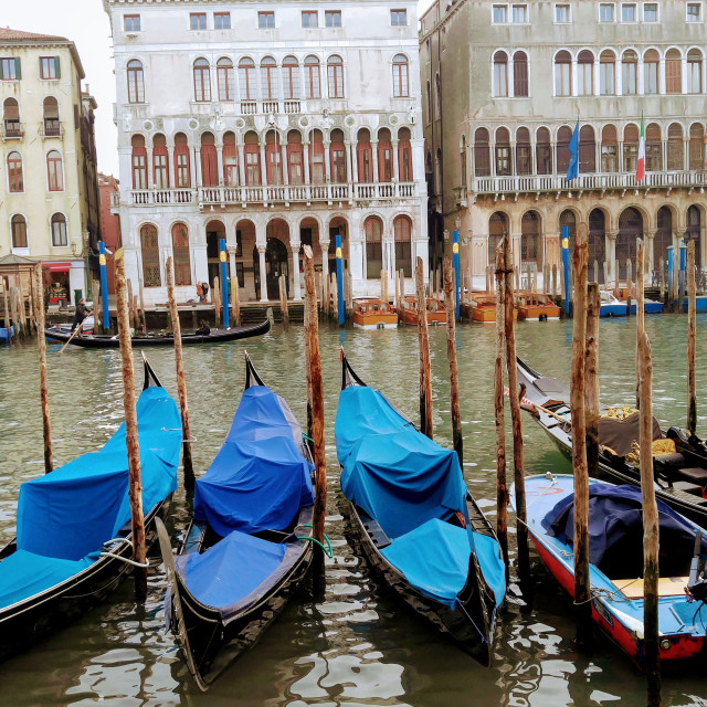 "Venice gondolas" stock image