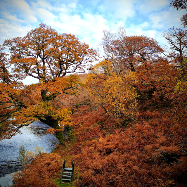 "Autumn colours" stock image