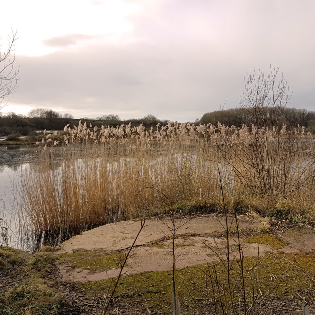 "Cosmeston Lakes" stock image