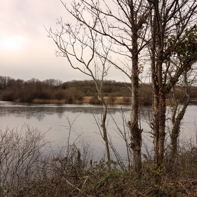 "Cosmeston Lakes" stock image