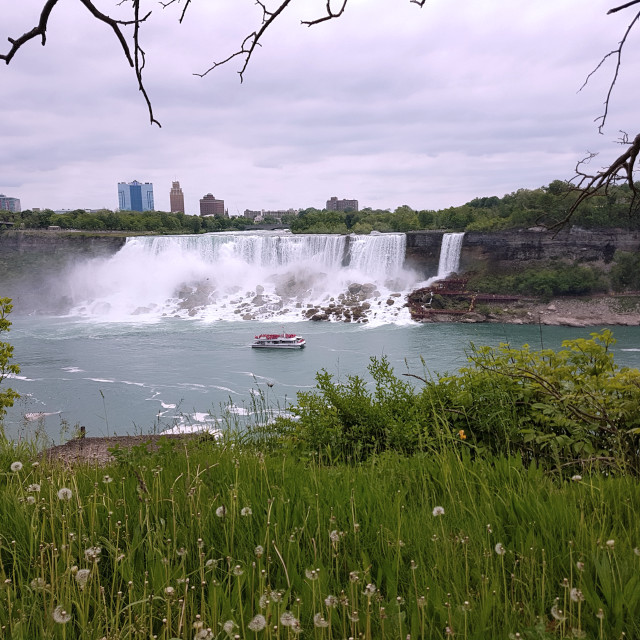 "American Falls" stock image