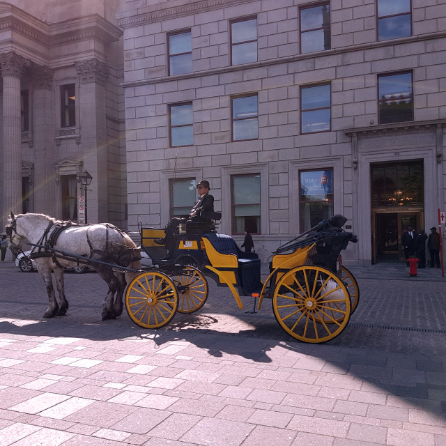 "Carriage Awaits" stock image