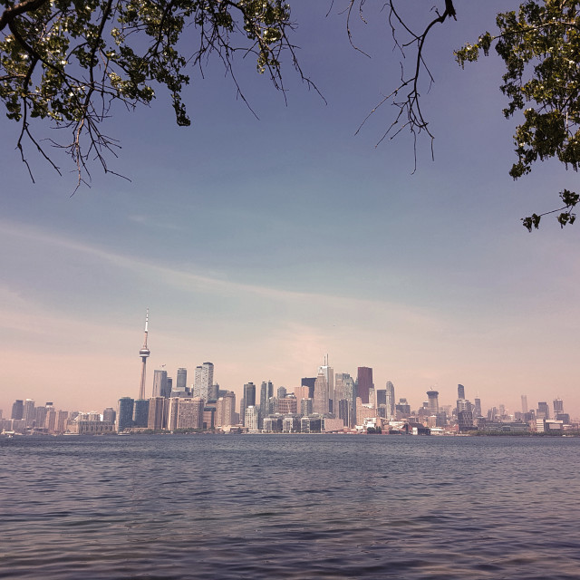 "Toronto Skyline" by Steve Harrison - $3.74 "Toronto Skyline" stock image