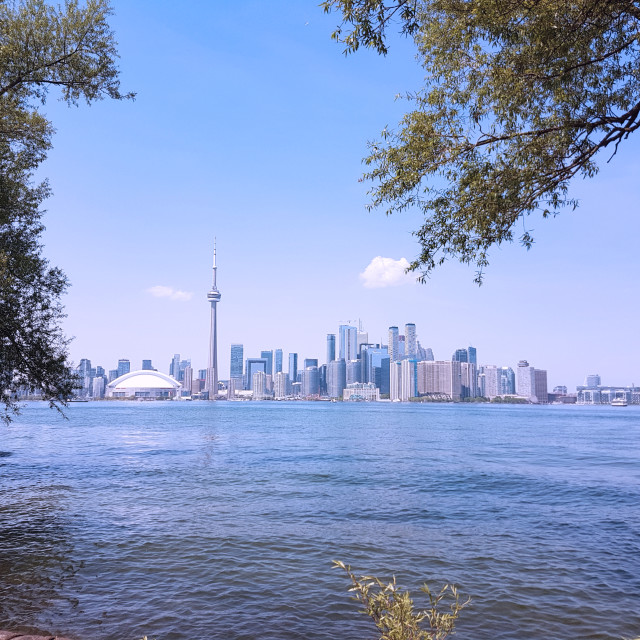 "Toronto Skyline" by Steve Harrison - $3.74 "Toronto Skyline" stock image