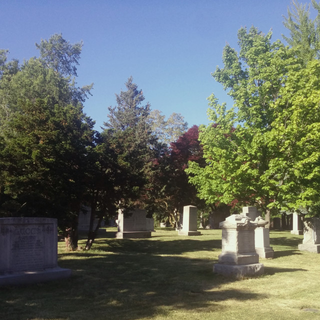 "Mount Pleasant Cemetery" by Steve Harrison - $3.74 "Mount Pleasant Cemetery" stock image