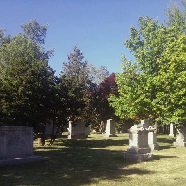 "Mount Pleasant Cemetery" stock image