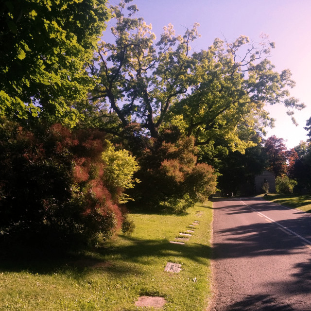 "Mount Pleasant Cemetery" stock image