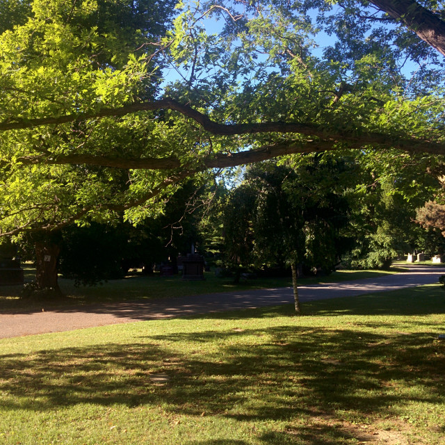 "Mount Pleasant Cemetery" stock image