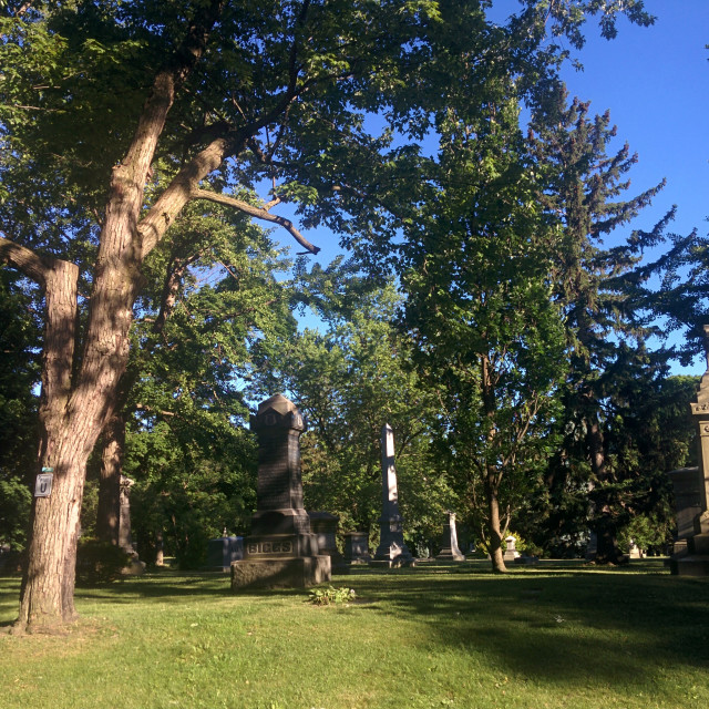 "Mount Pleasant Cemetery" stock image