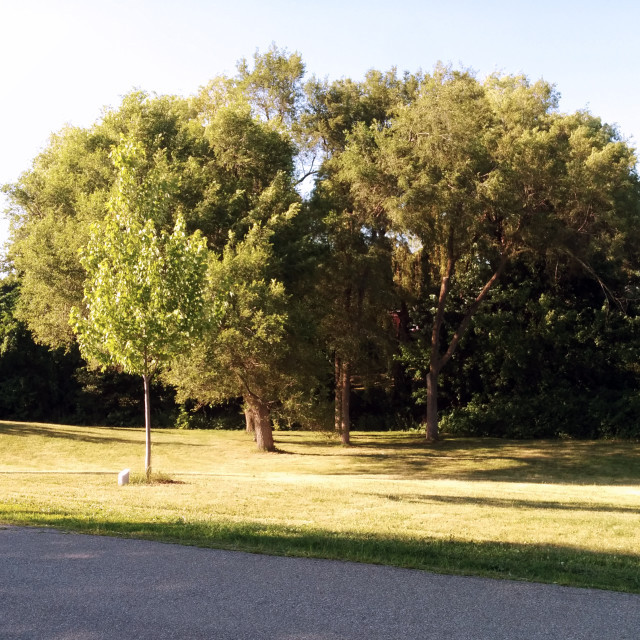 "Rean Park" by Steve Harrison - $3.74 "Rean Park" stock image