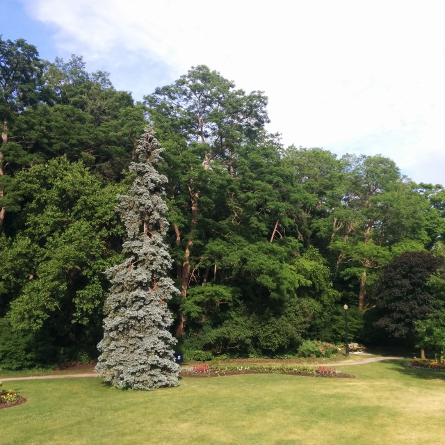 "Lawrence Park" by Steve Harrison - $3.74 "Lawrence Park" stock image