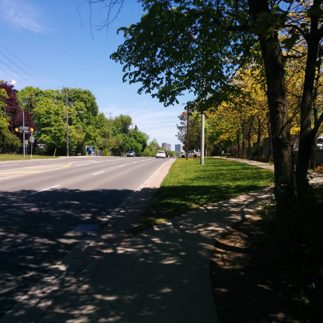 "Finch Avenue" stock image