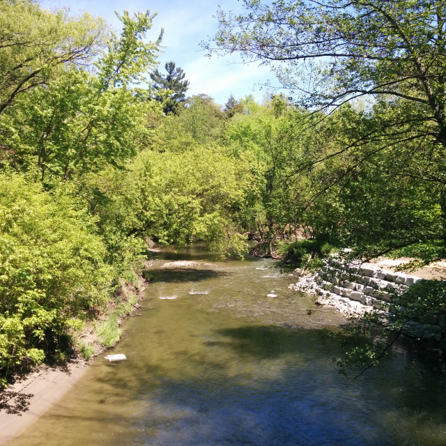 "East Don Parkland" stock image