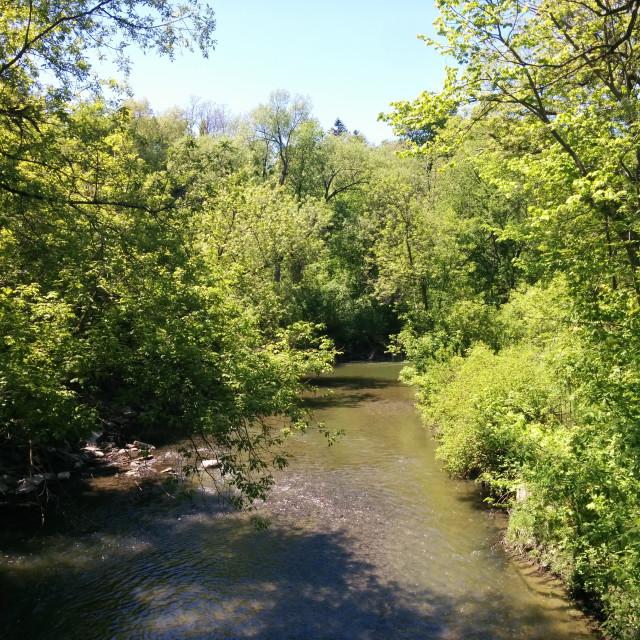 "East Don Parkland" stock image