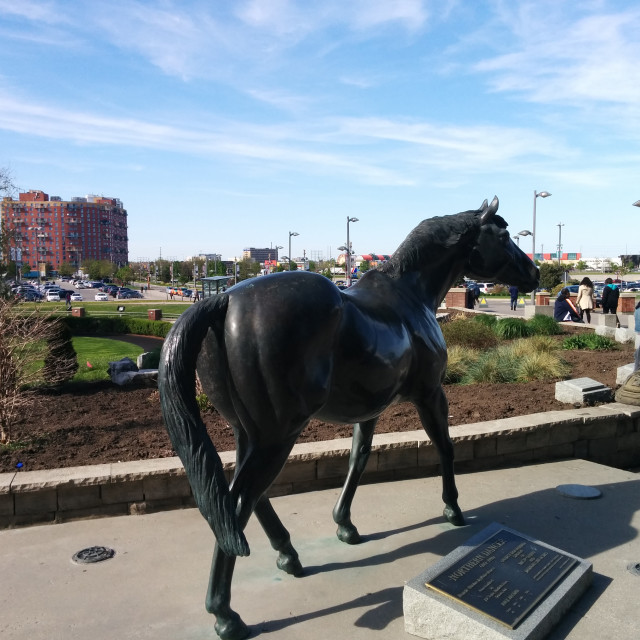 "Woodbine Racetrack" stock image