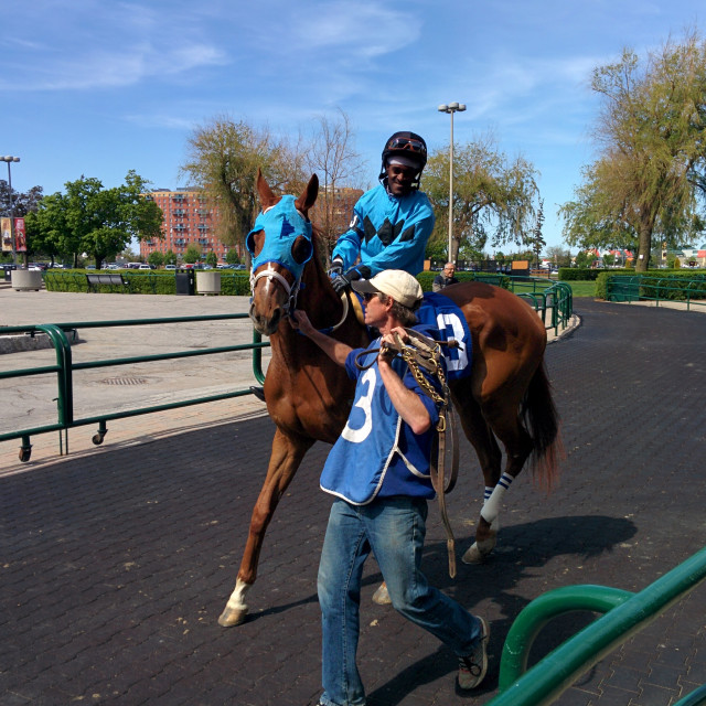 "Woodbine Racetrack" by Steve Harrison - $3.66 "Woodbine Racetrack" stock image
